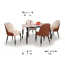 Octa 4 Seater Dining Set with Marble Finished Top
