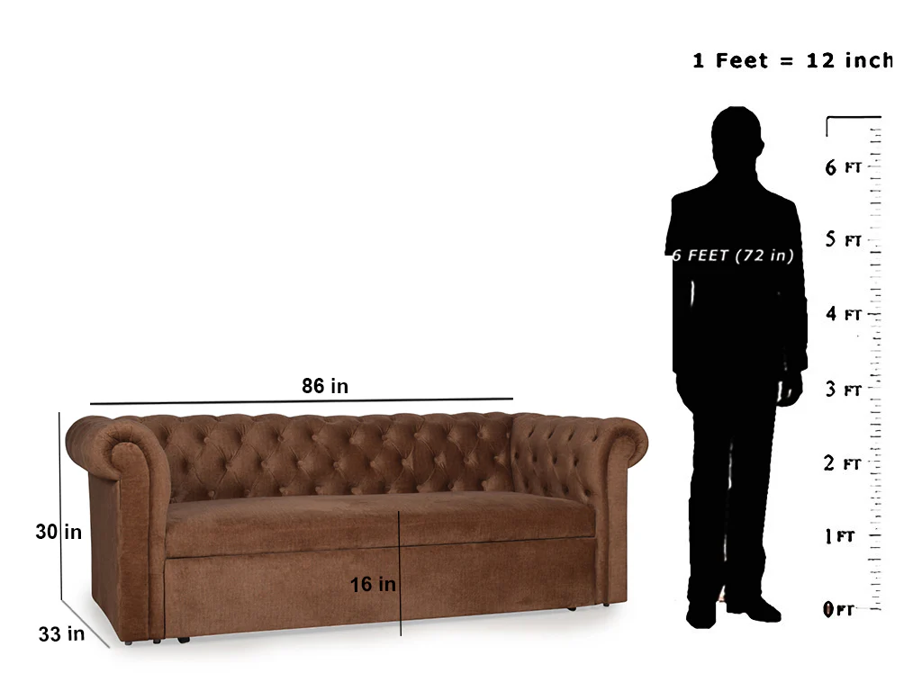 Berlon Sofa Cum Bed In Blue Color