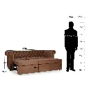 Berlon Sofa Cum Bed In Blue Color